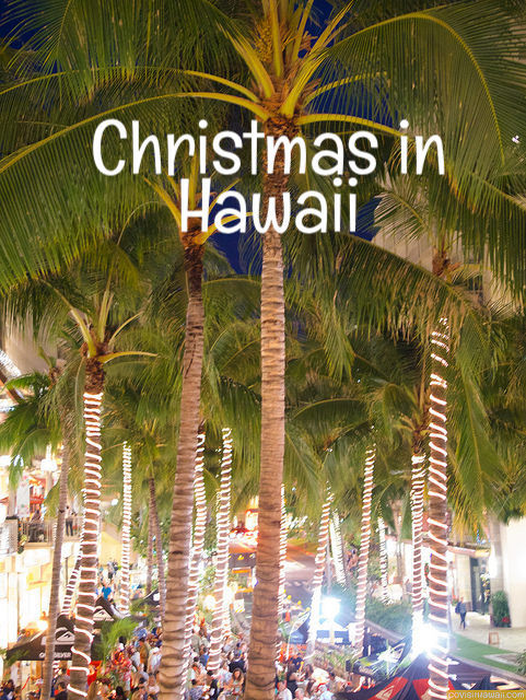What's Christmas like in Hawaii? 2019