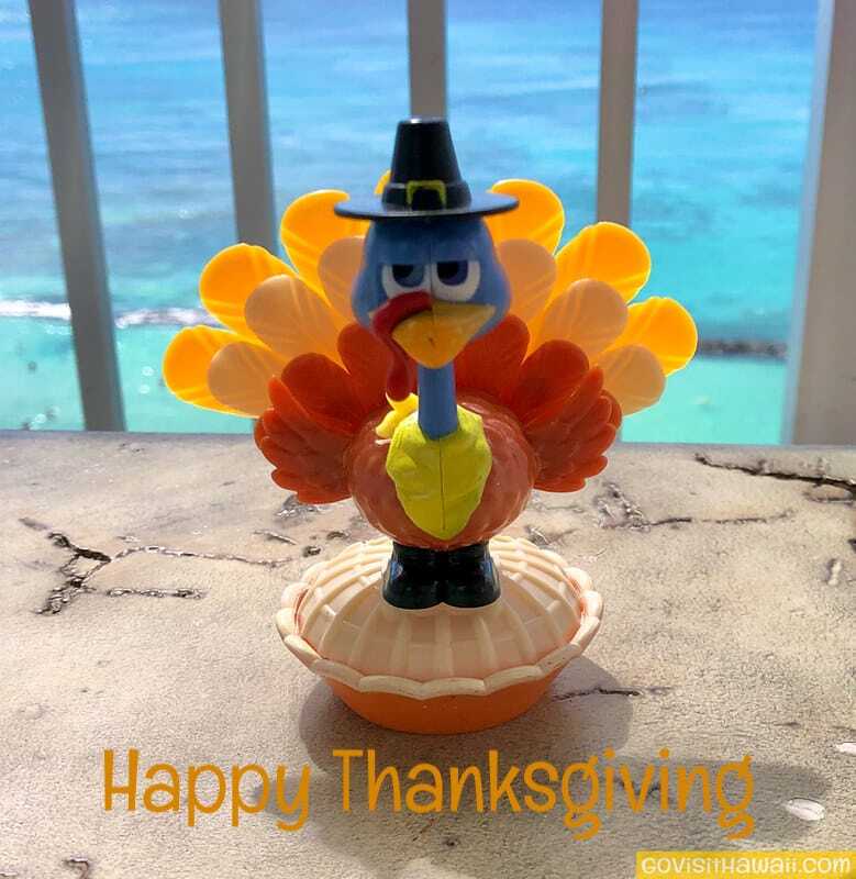 Thanksgiving is a time to say mahalo! Discover Hawaii
