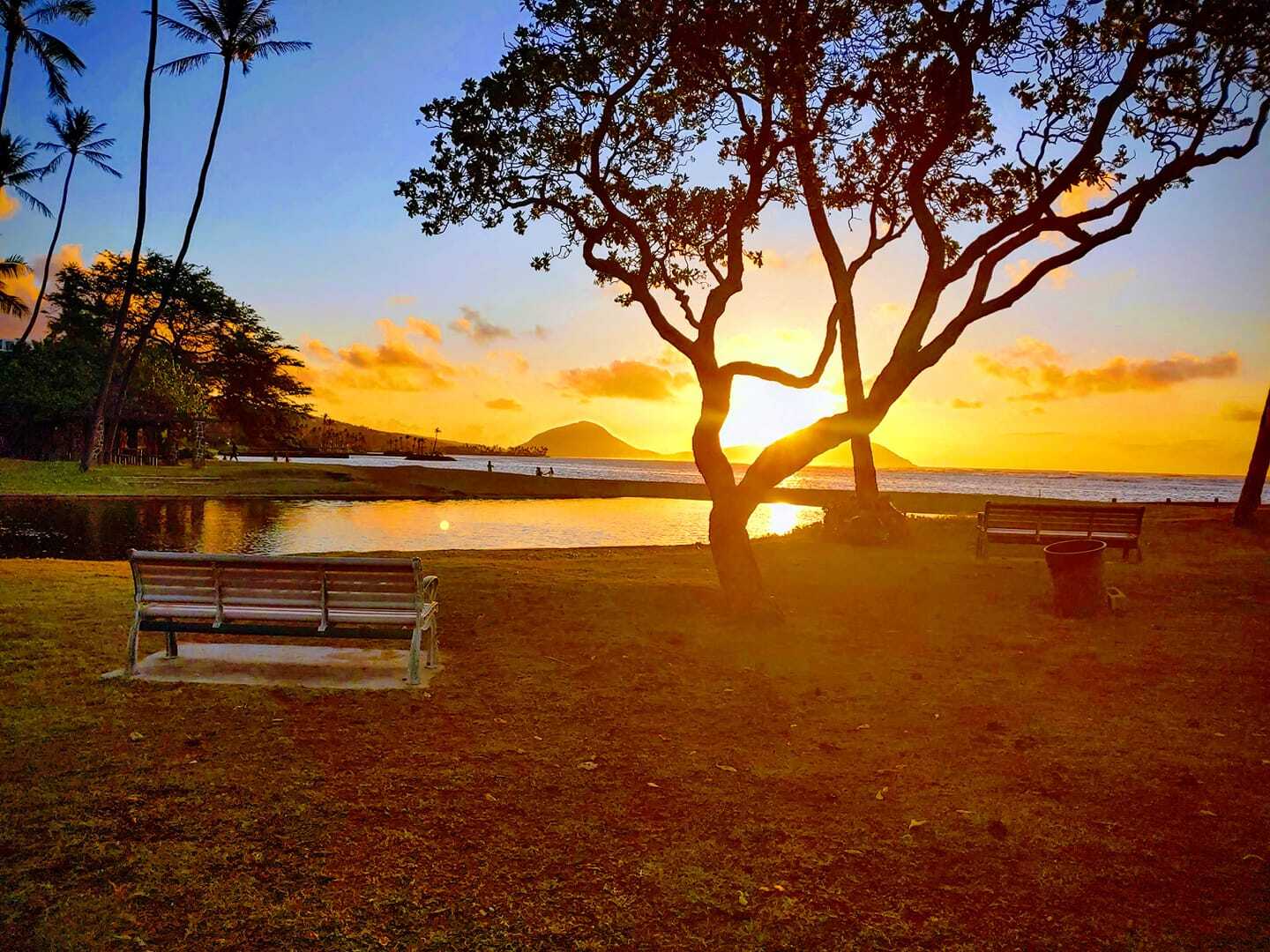 sunrise tour honolulu