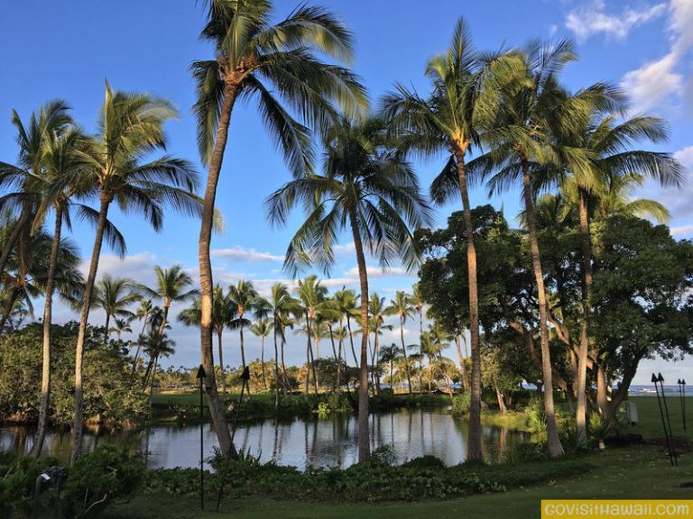 Hawaii travel cyber sales 2021 + Hawaii travel news Go Visit Hawaii