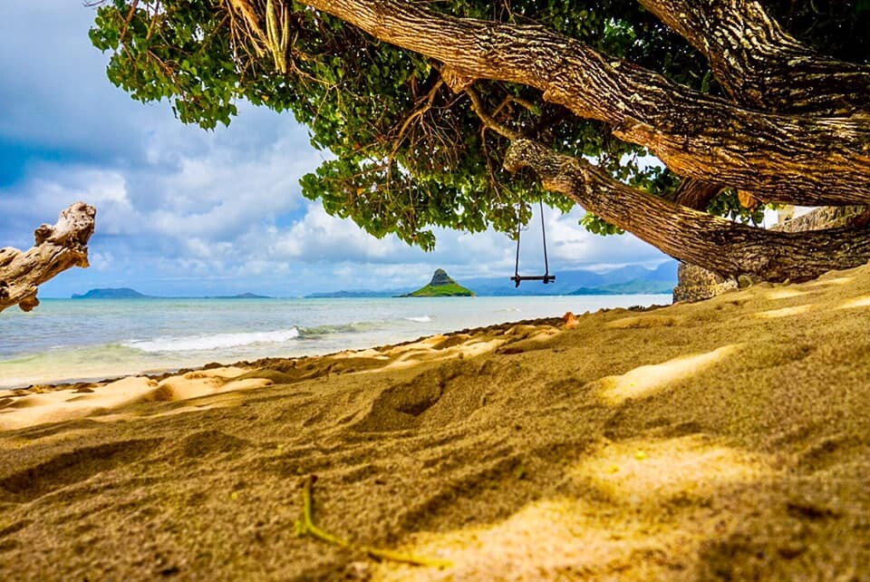 Aloha Friday Photo: Sand-level scenery - Go Visit Hawaii
