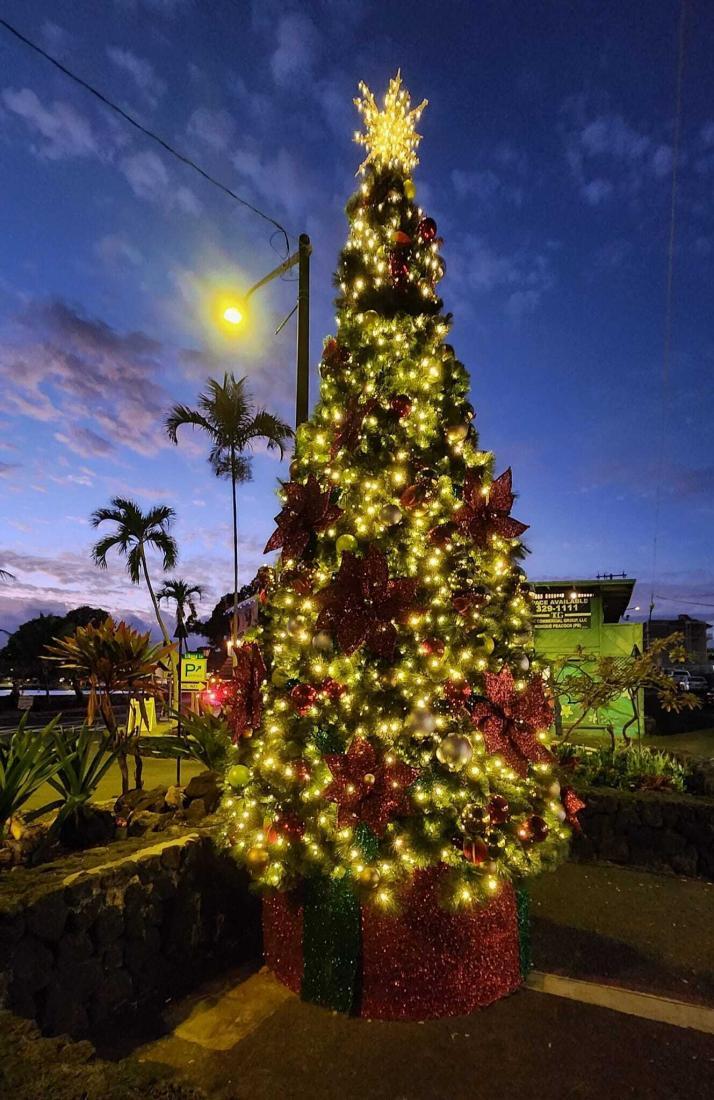 Kta kona christmas hours