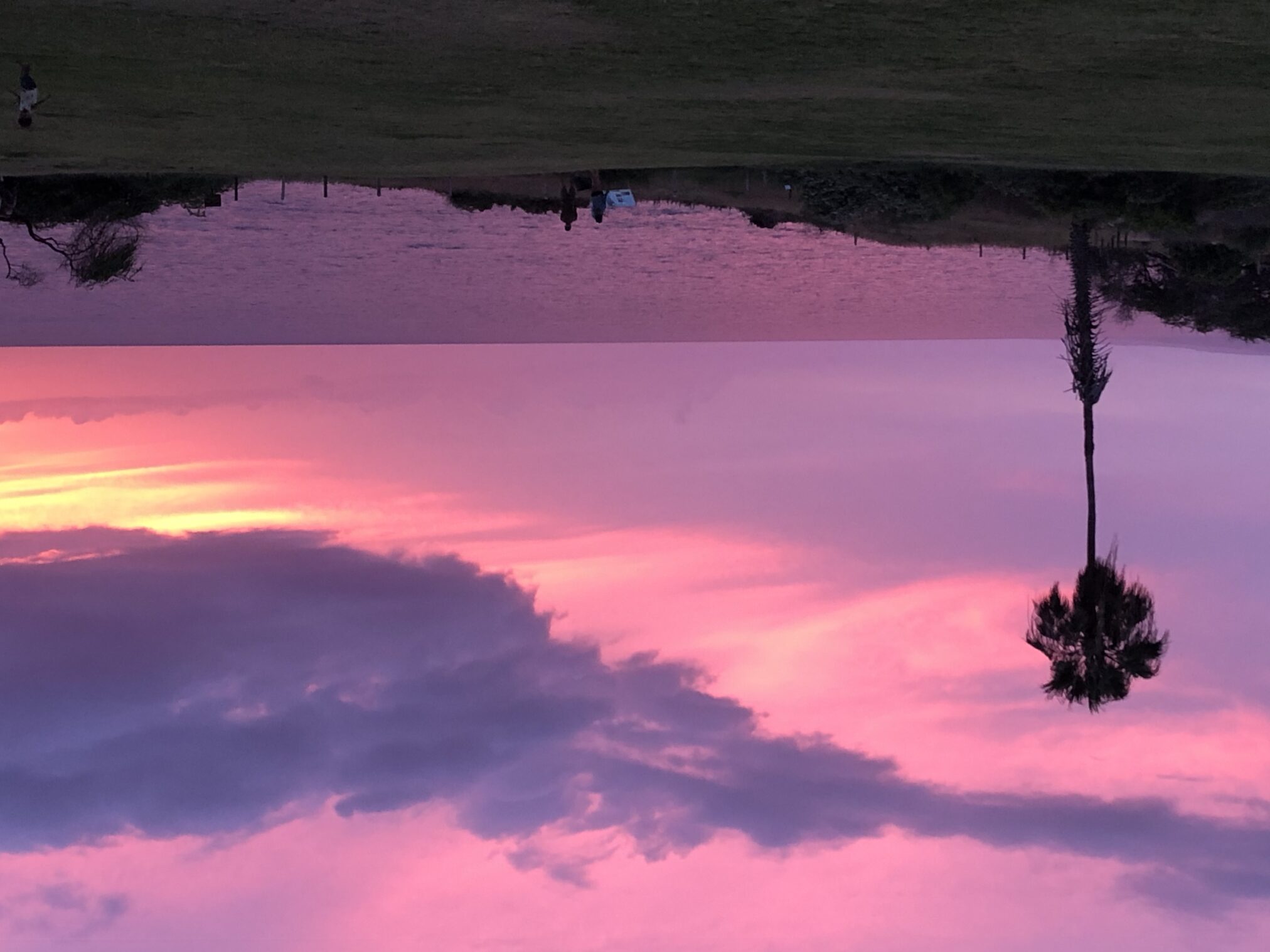 aloha-friday-photo-stunning-kamaole-iii-sunset-go-visit-hawaii